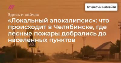 «Локальный апокалипсис»: что происходит в Челябинске, где лесные пожары добрались до населенных пунктов - tvrain.ru - Челябинск