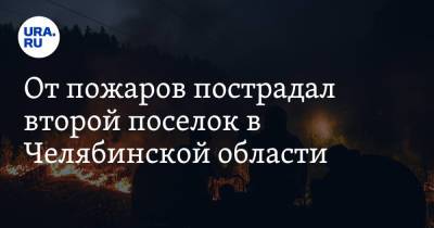 Алексей Текслер - От пожаров пострадал второй поселок в Челябинской области - ura.news - Челябинская обл.