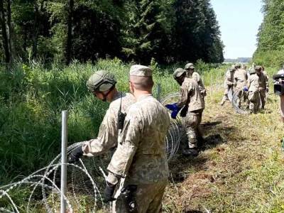 Агне Билотайте - Литва планирует построить на границе с Белоруссией не только забор из проволоки, но и стену - news-front.info - Белоруссия - Литва