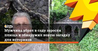 Мужчина убрал в саду заросли плюща и обнаружил новую загадку для историков - ridus.ru - Англия