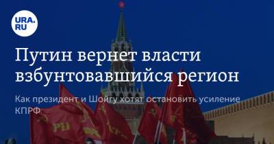Владимир Путин - Владимир Андреев - Алексей Русских - Путин вернет власти взбунтовавшийся регион - ura.news - Россия - Ульяновская - Димитровград