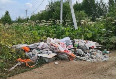 Выбросившие кучу мусора на обочину в Янино прокололись, забыв в отходах документы - online47.ru - Санкт-Петербург - Экология