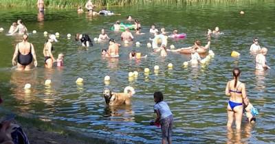 Отдыхающие на Голубых озёрах пожаловались на стаи бродячих собак - klops.ru - Калининград
