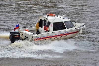 Тонущего ребенка спасли на Терлецких прудах в Москве - vm.ru - Москва