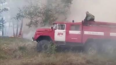 Огонь дошел до жилых домов: в Челябинской области борются с сильнейшими пожарами - vesti.ru - Челябинская обл.