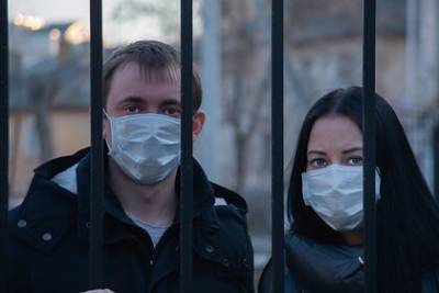 Алексей Воробьев - Губернатор Подмосковья оценил вероятность введения новых ограничений по COVID-19 - lenta.ru - Россия - Московская обл.