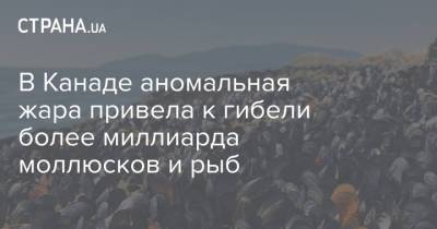 В Канаде аномальная жара привела к гибели более миллиарда моллюсков и рыб - strana.ua - США - Украина - Англия - Колумбия - Канада