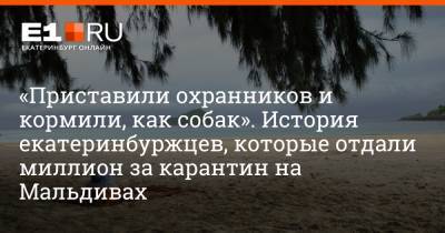 «Приставили охранников и кормили, как собак». История екатеринбуржцев, которые отдали миллион за карантин на Мальдивах - e1.ru - Москва - Екатеринбург - Мальдивы