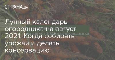 Лунный календарь огородника на август 2021. Когда собирать урожай и делать консервацию - strana.ua - Украина