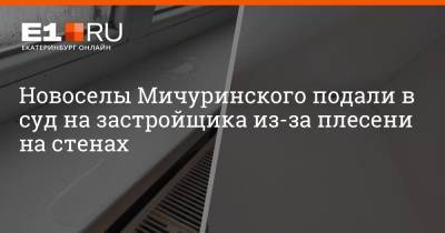 Новоселы Мичуринского подали в суд на застройщика из-за плесени на стенах - e1.ru - Екатеринбург