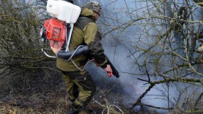 В России за сутки потушили 28 лесных пожаров - mir24.tv - Россия - Турция - респ. Саха