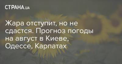 Жара отступит, но не сдастся. Прогноз погоды на август в Киеве, Одессе, Карпатах - strana.ua - Украина - Киев - Одесса