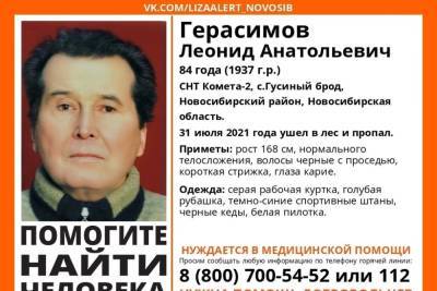В Новосибирской области объявили поиски 84-летнего мужчины, который нуждается в медицинской помощи - novos.mk.ru - Новосибирская обл. - район Новосибирский