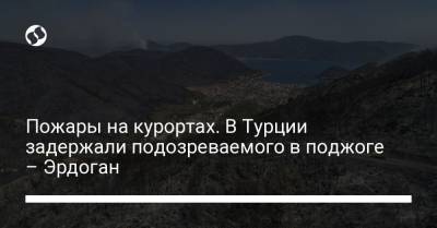Реджеп Эрдоган - Пожары на курортах. В Турции задержали подозреваемого в поджоге – Эрдоган - liga.net - Украина - Турция