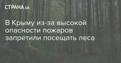 В Крыму из-за высокой опасности пожаров запретили посещать леса - strana.ua - Украина - Крым - Запрет