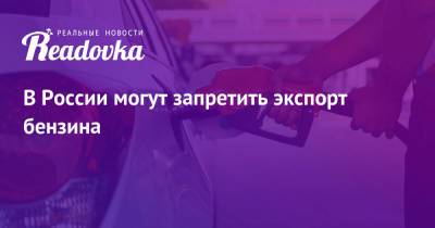 Николай Шульгинов - В России могут запретить экспорт бензина - readovka.news - Россия