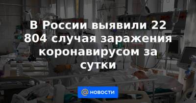 В России выявили 22 804 случая заражения коронавирусом за сутки - news.mail.ru - Москва - Россия