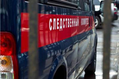 В Подмосковье на детей напала собака – Учительская газета - ug.ru - Россия - Московская обл. - Чехов