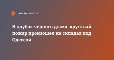 В клубах черного дыма: крупный пожар произошел на складах под Одессой - ren.tv - Украина - Одесса - Одесская обл. - район Одесский