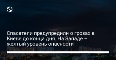 Спасатели предупредили о грозах в Киеве до конца дня. На Западе – желтый уровень опасности - liga.net - Украина - Киев - Киевская обл.
