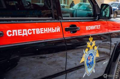 СК задержал воткнувшего нож в шею безбилетника охранника в Подмосковье - news.vse42.ru - Россия - Московская обл.