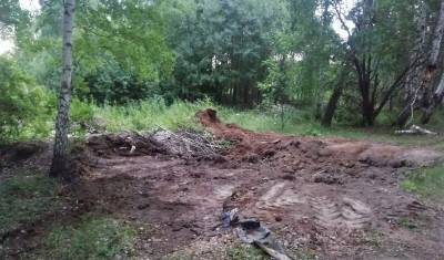 Возможное благоустройство детского сада или незаконная вырубка леса? - nashgorod.ru - Тюмень