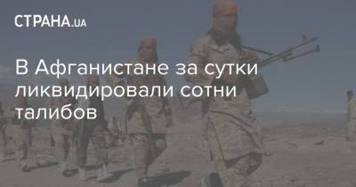 Сергей Лавров - В Афганистане за сутки ликвидировали сотни талибов - strana.ua - Москва - Россия - Украина - Афганистан - Минобороны - Талибан