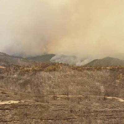 Более ста лесных пожаров локализовано в Турции - radiomayak.ru - Россия - Турция - провинция Анталья