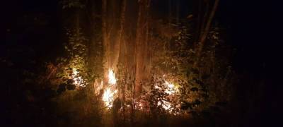 В Карелии окарауливают шесть лесных пожаров - stolicaonego.ru - район Пряжинский - республика Карелия