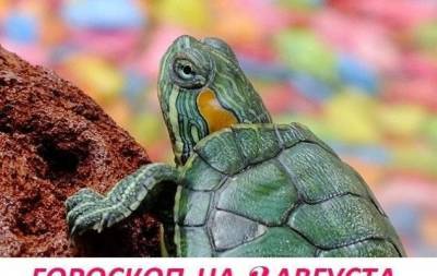 Гороскоп на 2 августа 2021: хорошие мысли имеют обыкновение прилетать по ночам - skuke.net