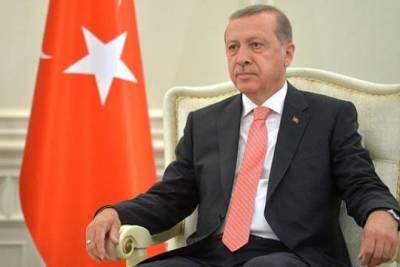 Тайип Эрдоган - Эрдоган сообщил о задержании подозреваемого в поджоге леса в Турции - versia.ru - Turkey - провинция Мугла