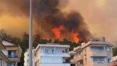 Реджеп Тайип Эрдоган - Бекир Пакдемирли - В Турции взяли под контроль более 100 лесных пожаров - hubs.ua - Украина - Турция - провинция Анталья