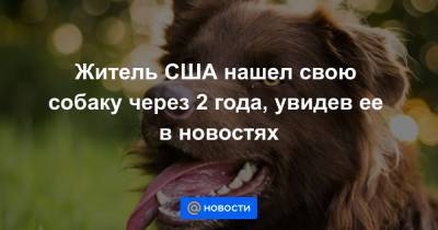 Анна Лысенко - Житель США нашел свою собаку через 2 года, увидев ее в новостях - news.mail.ru - USA - штат Висконсин