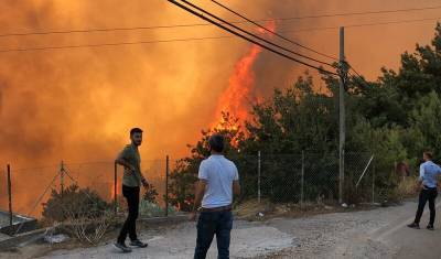 Фахреттин Коджа - Восемь человек погибли при лесных пожарах в Турции - newizv.ru - Turkey - провинция Анталья