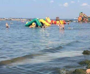 На пляжах Бердянска появились тонны водорослей. ФОТО - enovosty.com - Бердянск