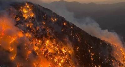 Фахреттин Коджа - Число жертв масштабных лесных пожаров в Турции возросло до восьми - reendex.ru - Турция - Манавгат