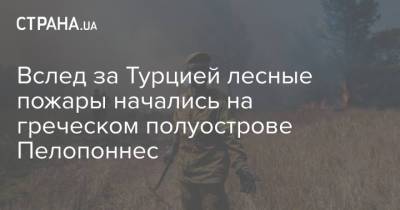 Вслед за Турцией лесные пожары начались на греческом полуострове Пелопоннес - strana.ua - Украина - Турция - Греция