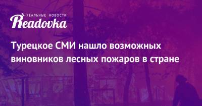 Владимир Путин - Реджеп Эрдоган - Бекир Пакдемирли - Турецкое СМИ нашло возможных виновников лесных пожаров в стране - readovka.ru - Москва - Россия - Турция - Курдистан