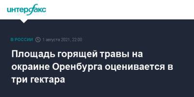 Площадь горящей травы на окраине Оренбурга оценивается в три гектара - interfax.ru - Москва - Оренбург