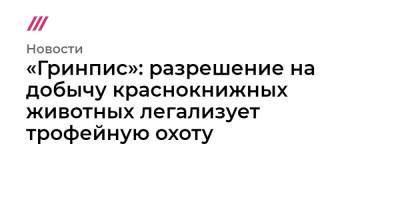 «Гринпис»: разрешение на добычу краснокнижных животных легализует трофейную охоту - tvrain.ru