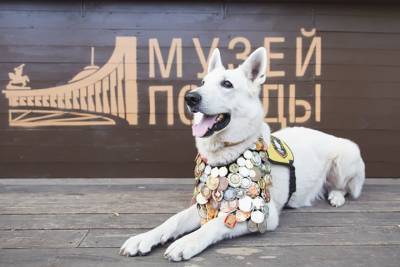 Рисунки москвичей вошли в виртуальную выставку о фронтовых собаках - vm.ru