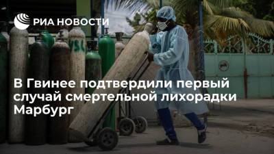 Елизавета Исакова - Власти Гвинеи подтвердили первый случай геморрагической лихорадки Марбурга в стране - ria.ru - Сенегал - Гвинея