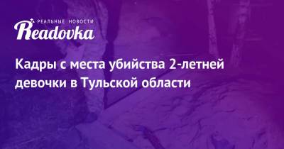 Кадры с места убийства 2-летней девочки в Тульской области - readovka.news - Россия - Тульская обл.