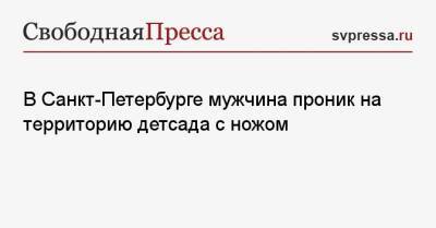 В Санкт-Петербурге мужчина проник на территорию детсада с ножом - svpressa.ru - Ленинградская обл. - Санкт-Петербург - Красноярск - Амурская обл. - Кудрово
