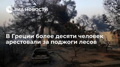 Пожарная служба Греции: более десяти человек за три дня арестованы за поджоги лесов - ria.ru - Греция
