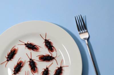 Александр Мясников - Пациенты больницы доктора Мясникова сообщили о ползающих по ним тараканах - news.vse42.ru