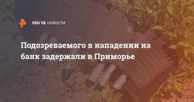 Ирина Волк - Подозреваемого в нападении на банк задержали в Приморье - ren.tv - Россия - Приморье край - Артем