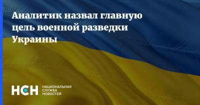 Руслан Пухов - Аналитик назвал главную цель военной разведки Украины - nsn.fm - Россия - Украина - Белоруссия - Румыния - ДНР - Польша - ЛНР - Донецкая обл.