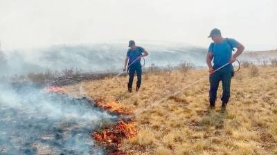 В Башкирии действуют 27 лесных пожаров - bash.news - Башкирия