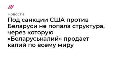Александр Лукашенко - Под санкции США против Беларуси не попала структура, через которую «Беларуськалий» продает калий по всему миру - tvrain.ru - США - Белоруссия